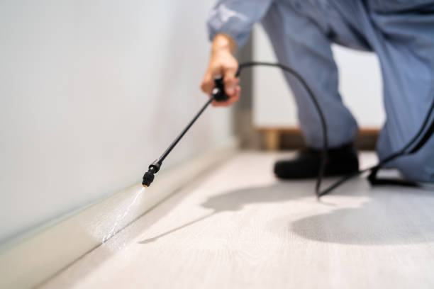 Certified termite inspector examining foundation in Gloucester Courthouse