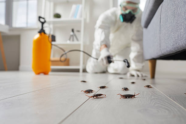 Commercial Rodent Management in Gloucester Courthouse